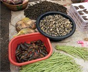 14716_Luang Prabang